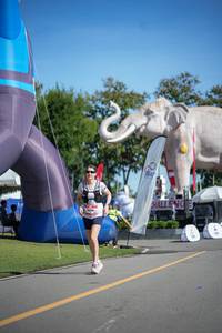 BIB: 
                            <button type="button" onclick="openModal(26542960)" class="btn btn-primary btn-sm float-right btn-popup" data-toggle="modal" data-target=".modal-high-quality">
                        <i class="fas fa-shopping-cart"></i> Add to Cart
                    </button>
                                            <button type="button" onclick="isThisMe(26542960, true)" class="btn btn-success btn-sm float-right btn-popup btn-isme hidden" data-toggle="tooltip" data-placement="bottom" title="นี่คือรูปของคุณใช่ไหม คลิกที่นี่เพื่อเอาเข้าอัลบั้ม">
                        <i class="fas fa-plus"></i> Add to album
                    </button>
                    <button type="button" onclick="isThisMe(26542960, false)" class="btn btn-warning btn-sm float-right btn-popup btn-isnotme hidden">
                        <i class="fas fa-ban"></i> Remove from album
                    </button>